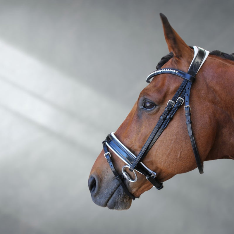 REFLECTION Patent Anatomical Leather Bridle + BAG | Ritmo - Active Equine