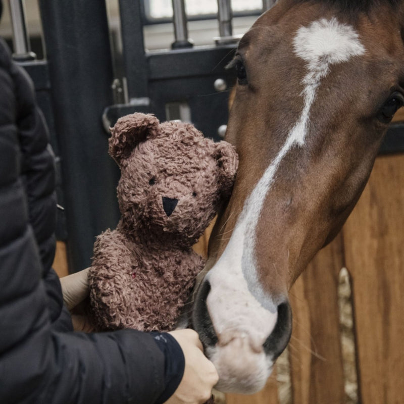 Relax Horse Toy Bear Equine Therapy | Kentucky Horsewear - Active Equine