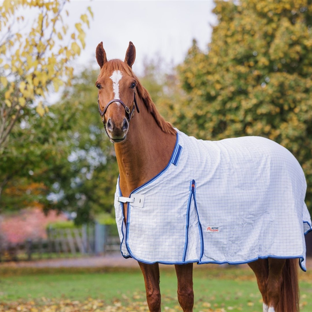 Ripstop Premium Detachable Neck Combo | Active Equine - Active Equine