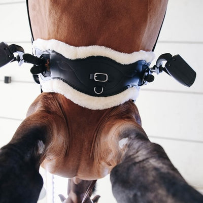 Sheepskin Anatomic Girth (with two liners) | Kentucky Horsewear - Active Equine