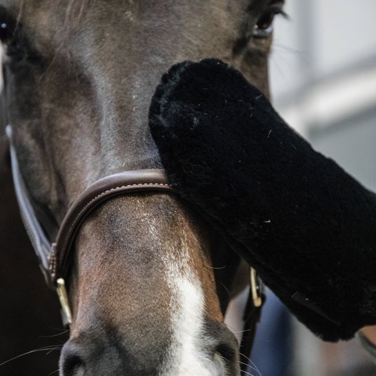 Sheepskin Grooming Glove | Kentucky - Active Equine