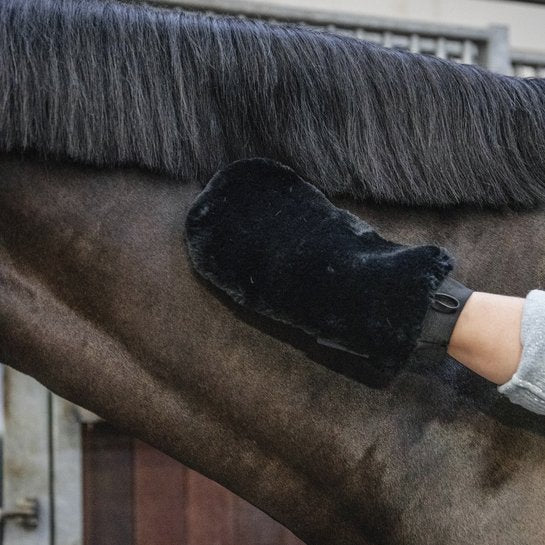 Sheepskin Grooming Glove | Kentucky - Active Equine