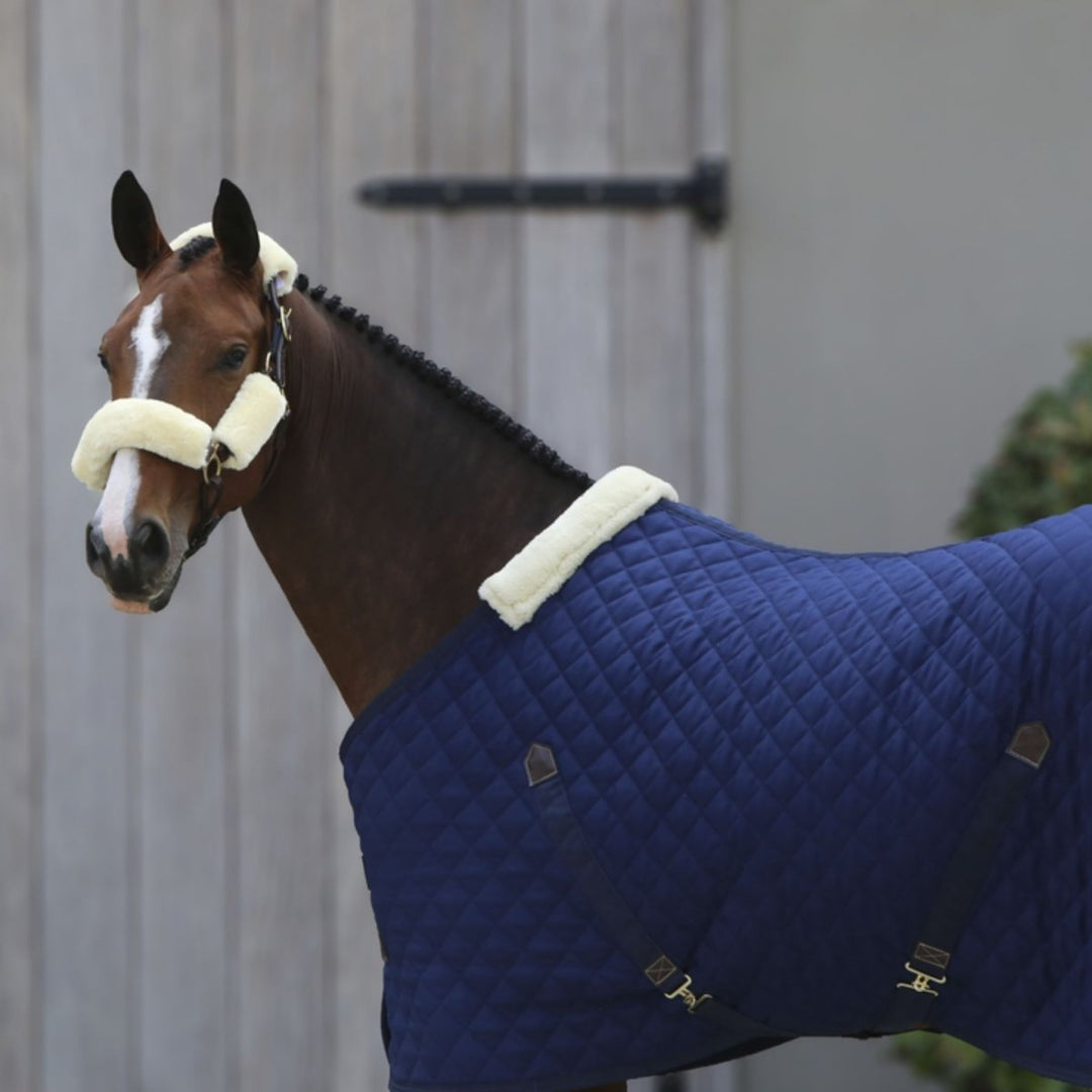 Sheepskin Halter Set Equine Therapy | Kentucky Horsewear - Active Equine