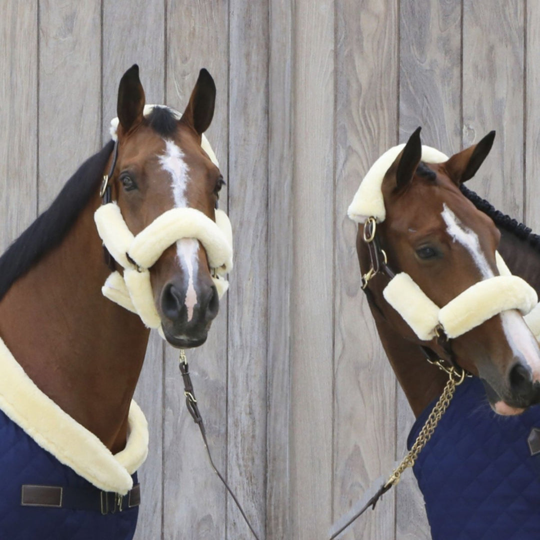 Sheepskin Halter Set Equine Therapy | Kentucky Horsewear - Active Equine