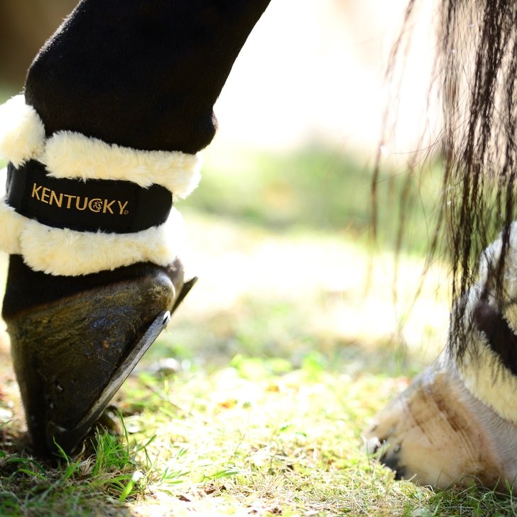 Sheepskin Pastern Wrap Equine Therapy | Kentucky Horsewear - Active Equine