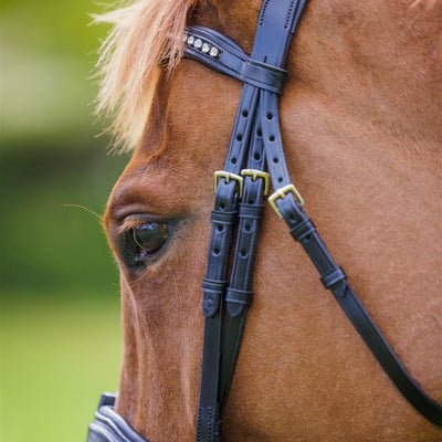 SOLACE Removable Flash Anatomic Bridle Italian Leather + BONUS Bag | Ritmo - Active Equine