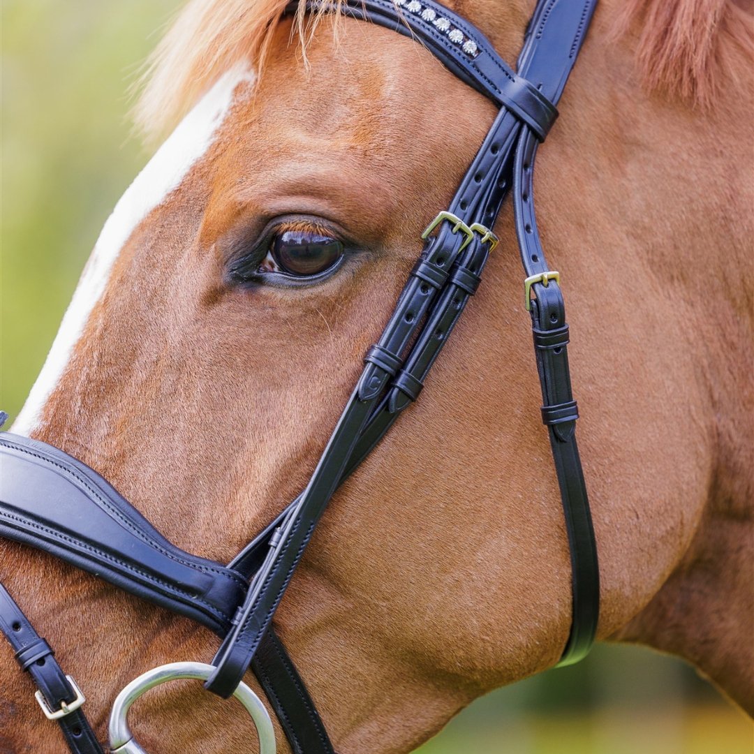 SOLACE Removable Flash Anatomic Bridle Italian Leather + BONUS Bag | Ritmo - Active Equine