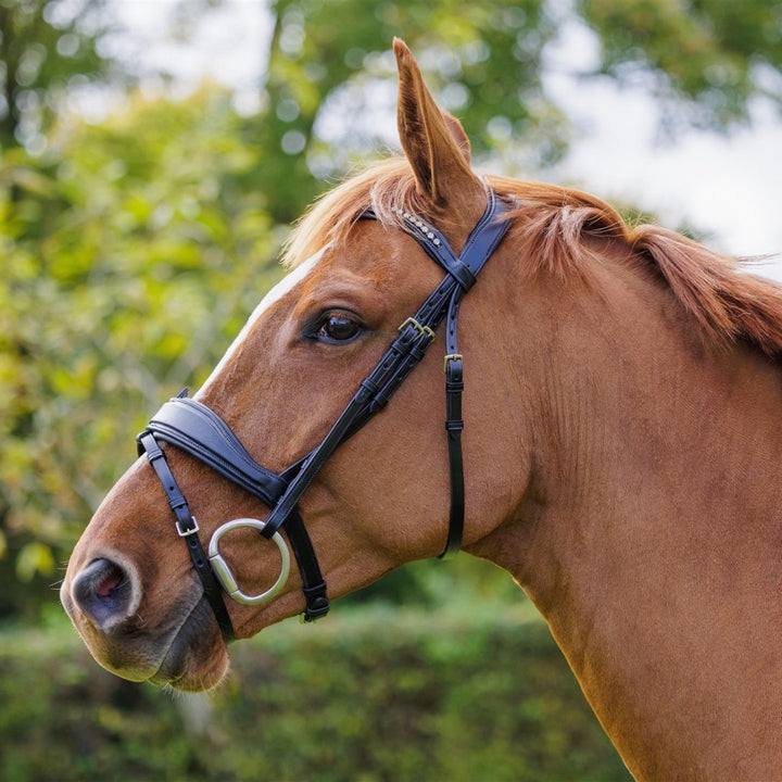 SOLACE Removable Flash Anatomic Bridle Italian Leather + BONUS Bag | Ritmo - Active Equine