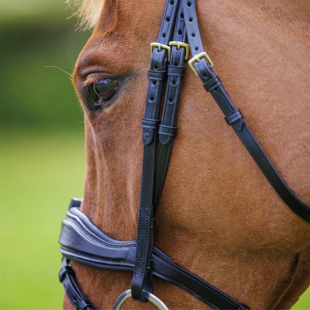 SOLACE Removable Flash Anatomic Bridle Italian Leather + BONUS Bag | Ritmo - Active Equine