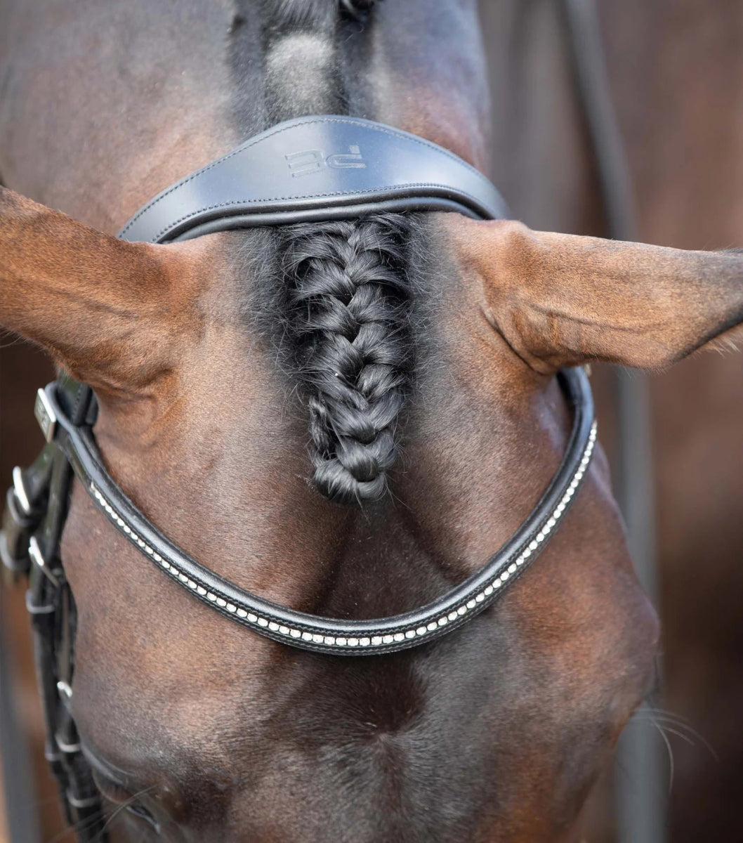 Stellazio Anatomic Snaffle Bridle with Flash - Active Equine