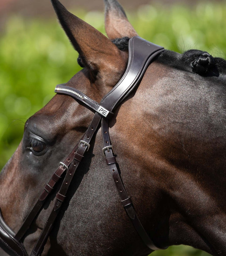 Stellazio Anatomic Snaffle Bridle with Flash - Active Equine