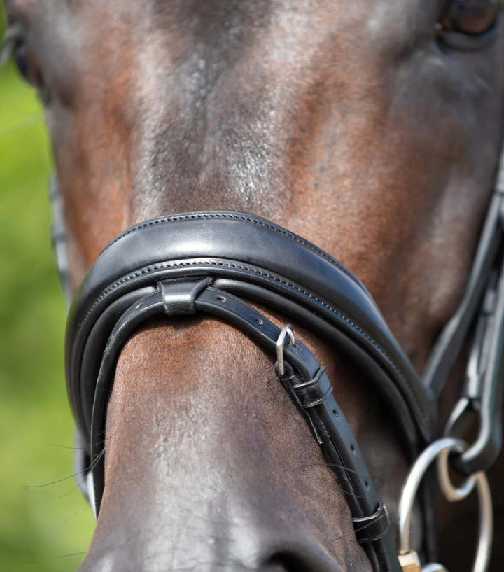 Stellazio Anatomic Snaffle Bridle with Flash - Active Equine