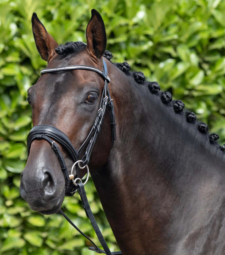 Stellazio Anatomic Snaffle Bridle with Flash - Active Equine