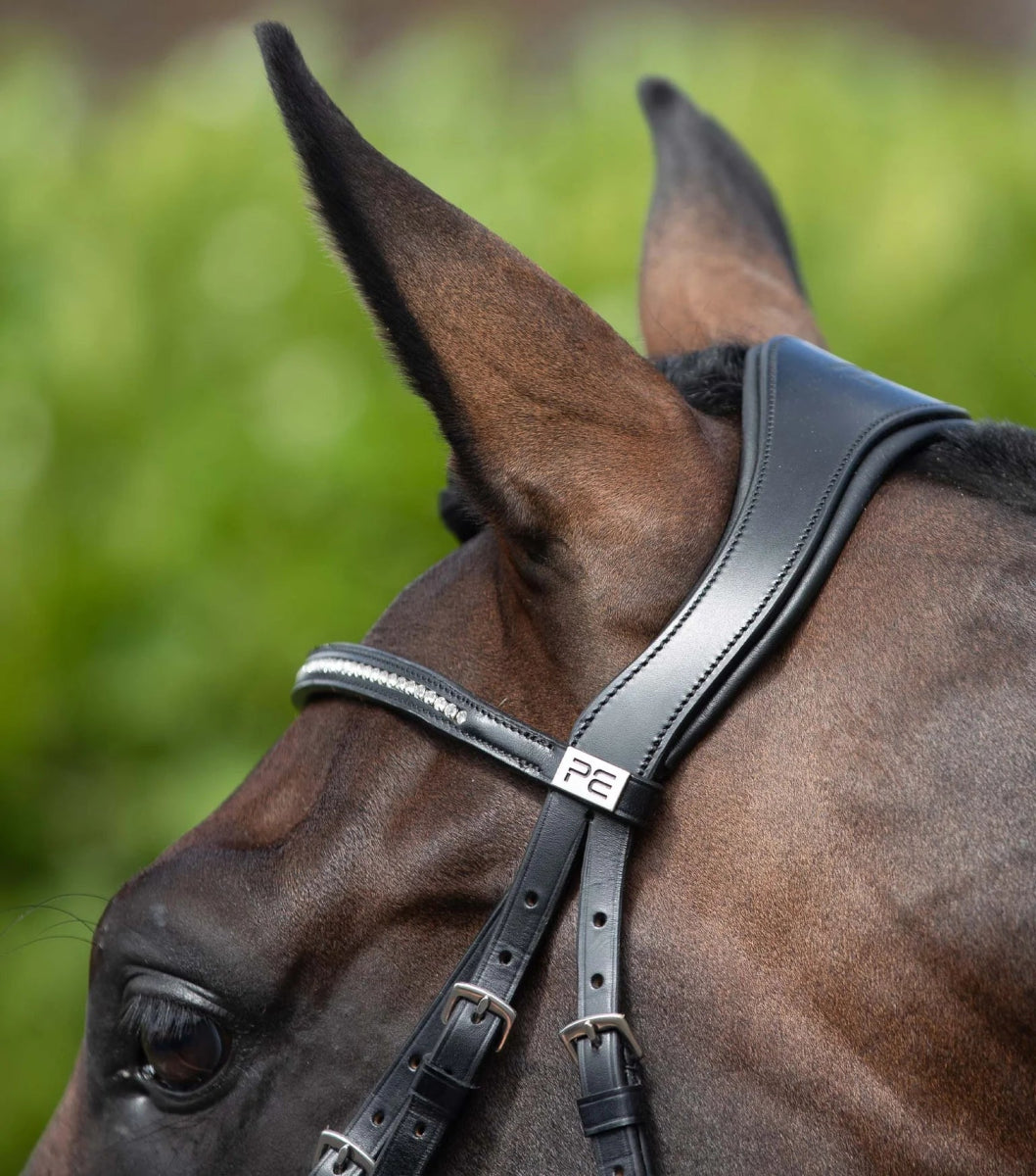 Stellazio Anatomic Snaffle Bridle with Flash - Active Equine