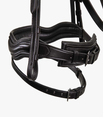 Stellazio Anatomic Snaffle Bridle with Flash - Active Equine