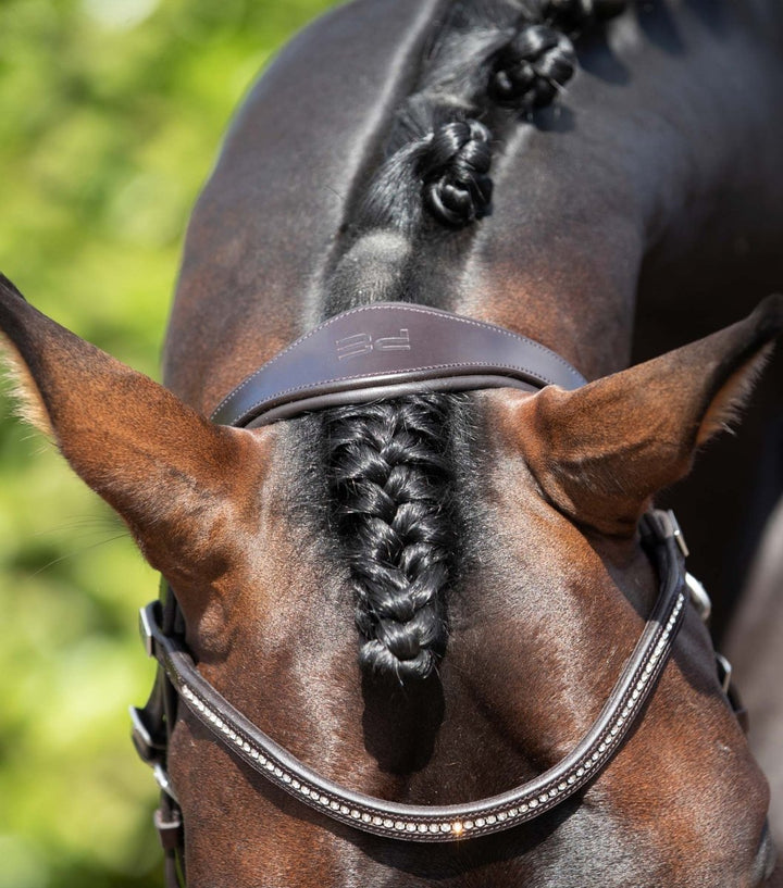 Stellazio Anatomic Snaffle Bridle with Flash - Active Equine