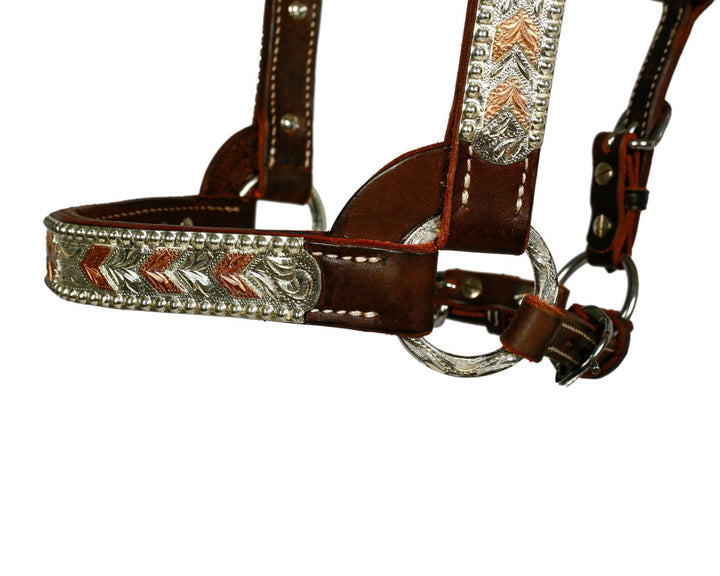 Syd Hill Bowen Show Halter - Active Equine