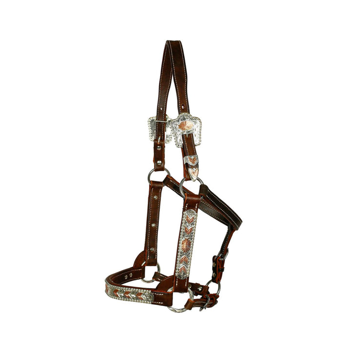 Syd Hill Bowen Show Halter - Active Equine