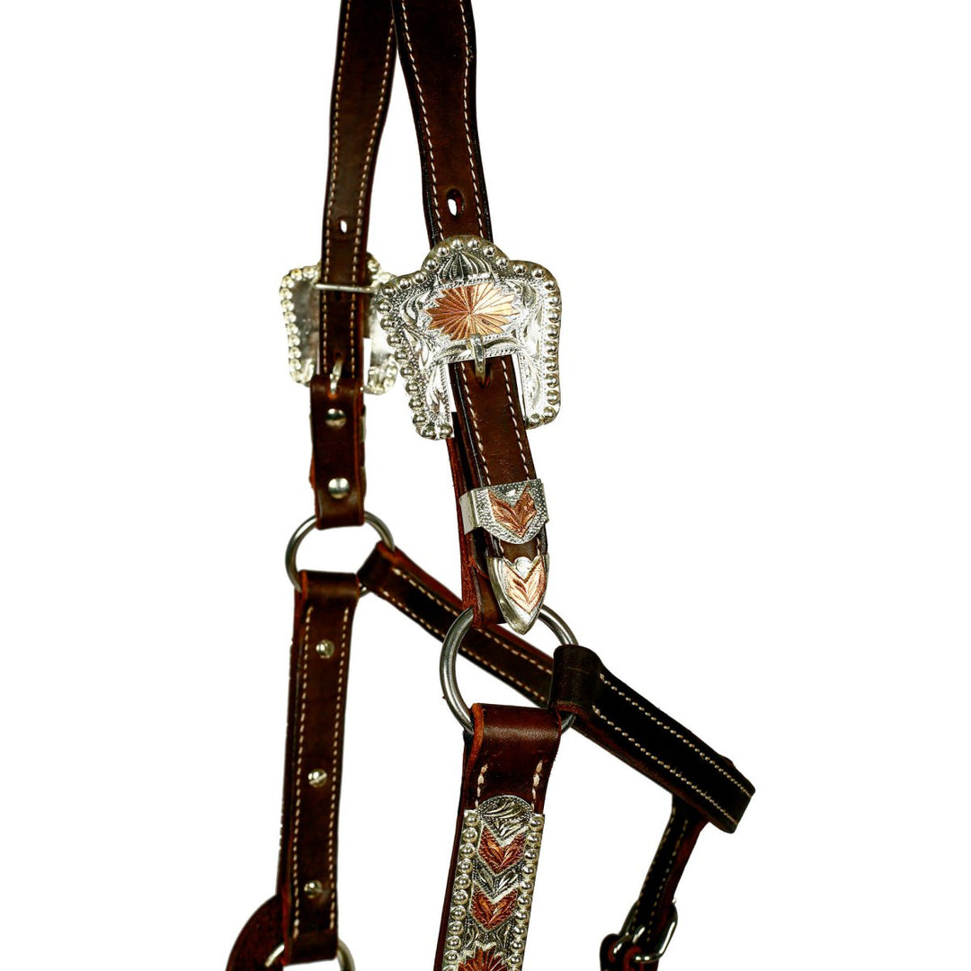 Syd Hill Bowen Show Halter - Active Equine