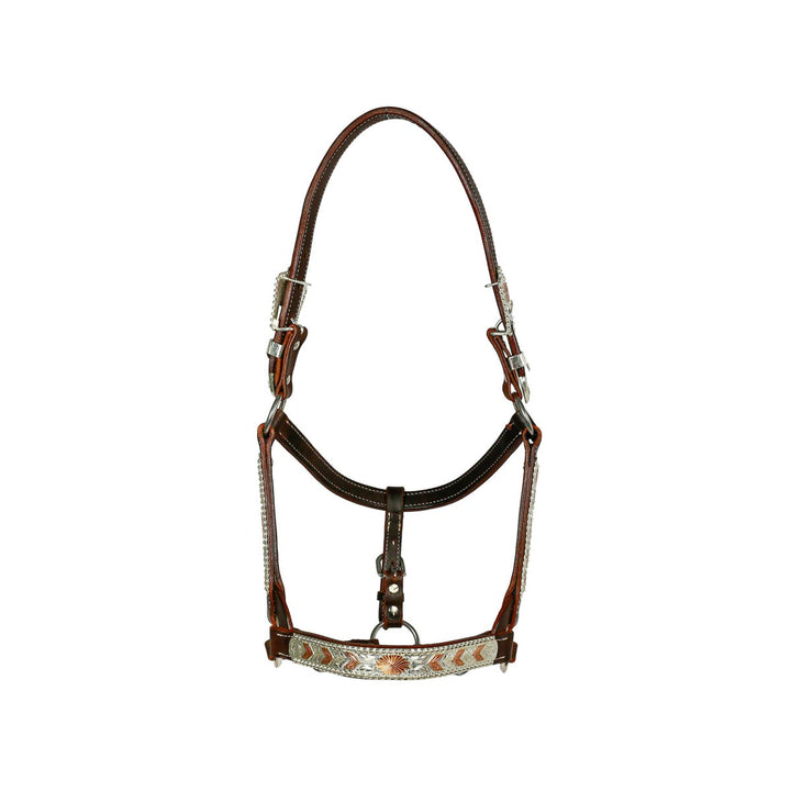 Syd Hill Bowen Show Halter - Active Equine