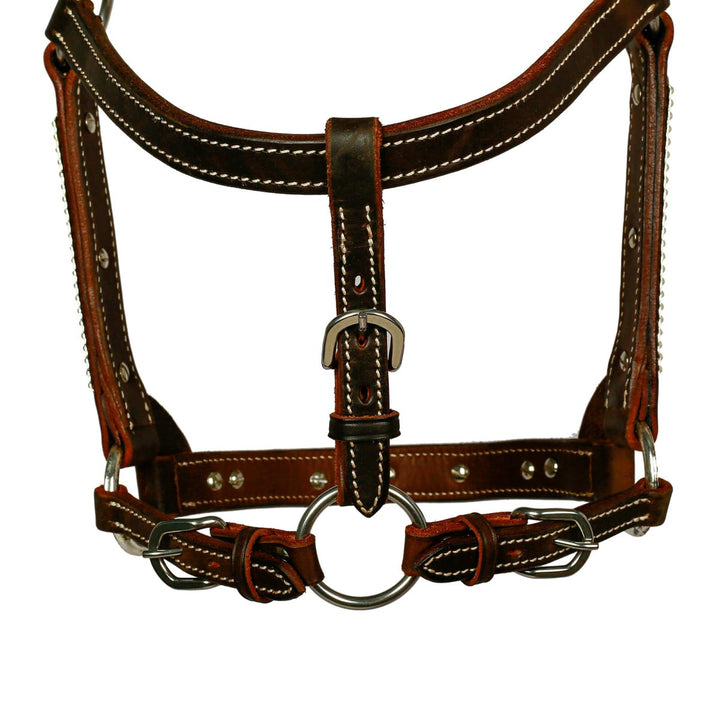 Syd Hill Bowen Show Halter - Active Equine