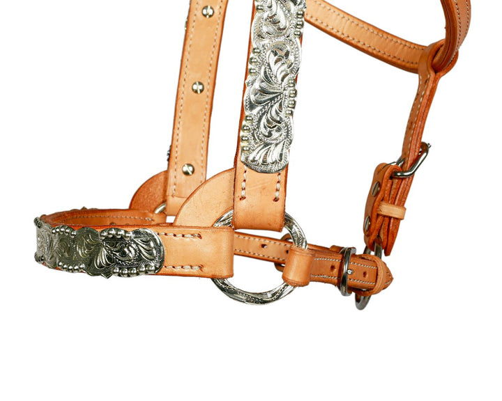 Syd Hill Buller Show Halter - Active Equine