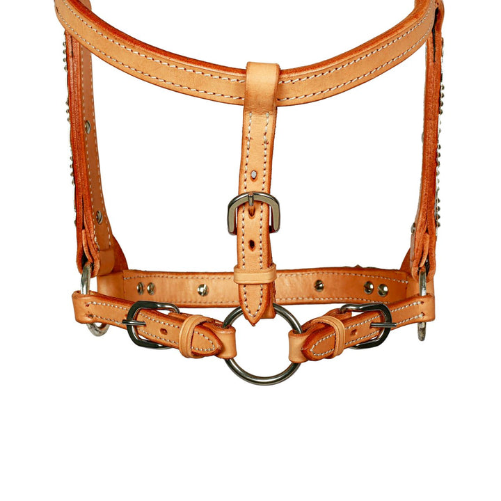 Syd Hill Buller Show Halter - Active Equine