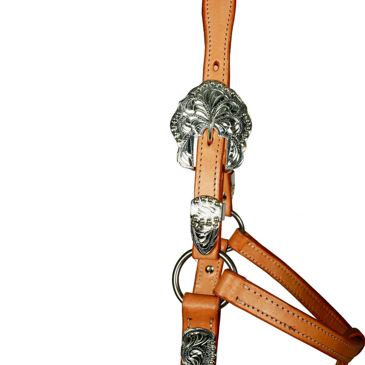 Syd Hill Buller Show Halter - Active Equine