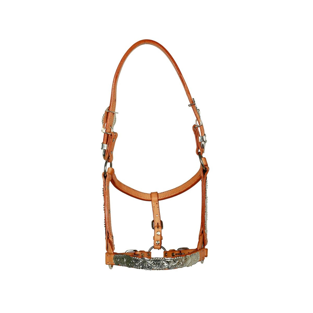 Syd Hill Buller Show Halter - Active Equine