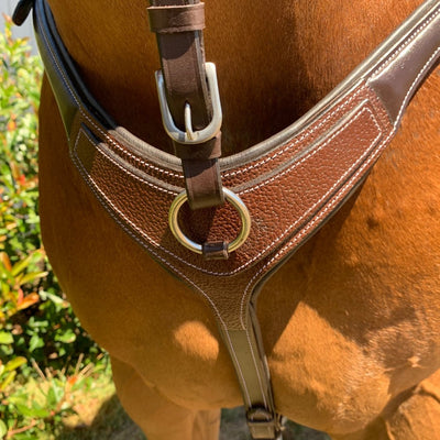 Elastic Martingale Rings - Active Equine