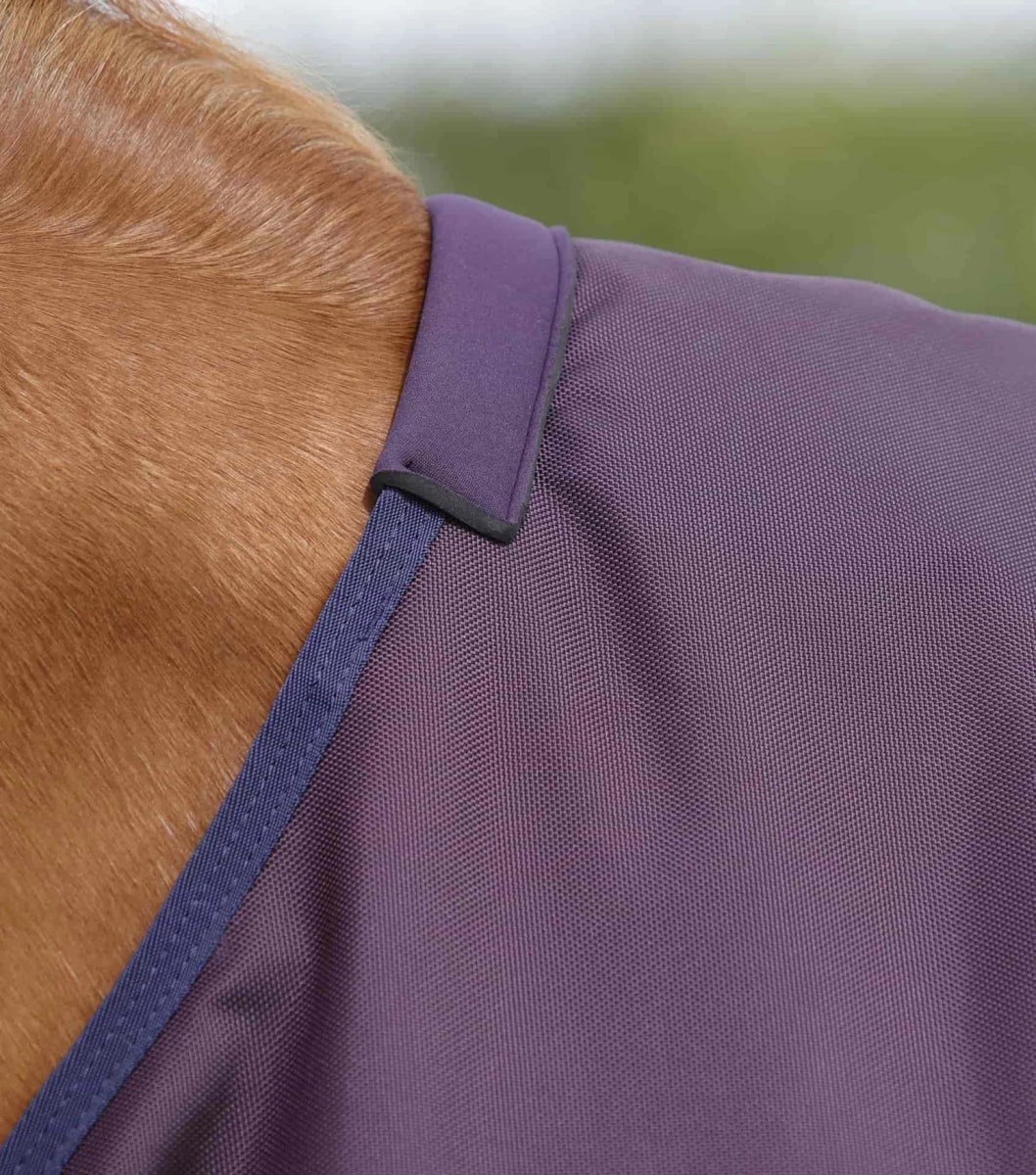 Titan 200g Original Turnout Rug | PEI - Active Equine