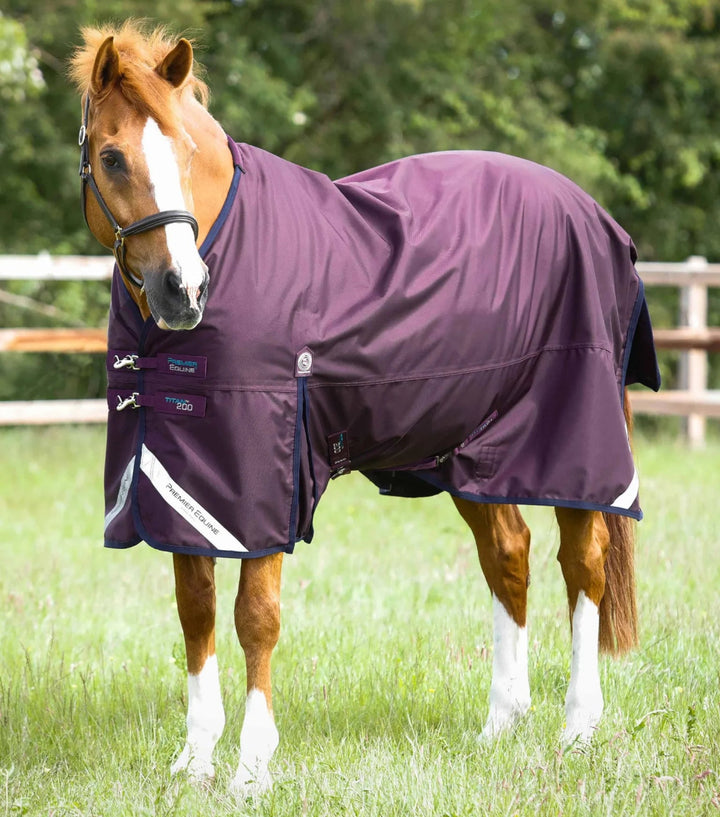 Titan 200g Original Turnout Rug | PEI - Active Equine