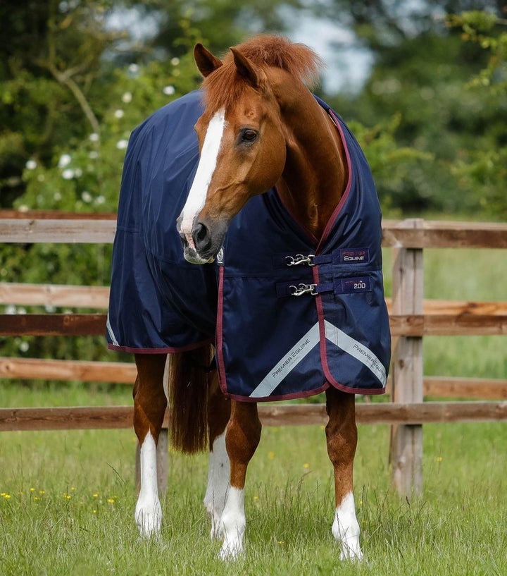 Titan 200g Original Turnout Rug | PEI - Active Equine