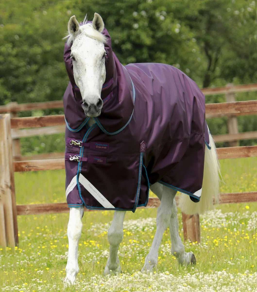 Titan 200g Turnout Rug with Snug-Fit Neck Cover | PEI - Active Equine