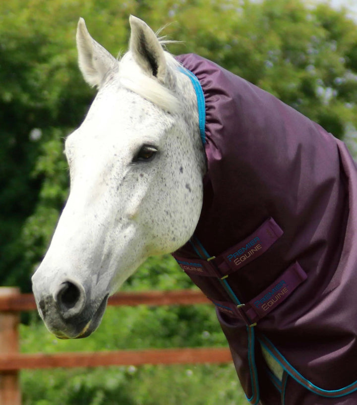 Titan 200g Turnout Rug with Snug-Fit Neck Cover | PEI - Active Equine