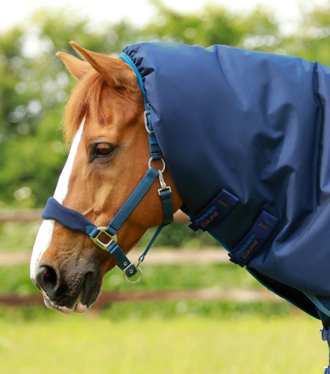 Titan 200g Turnout Rug with Snug-Fit Neck Cover | PEI - Active Equine