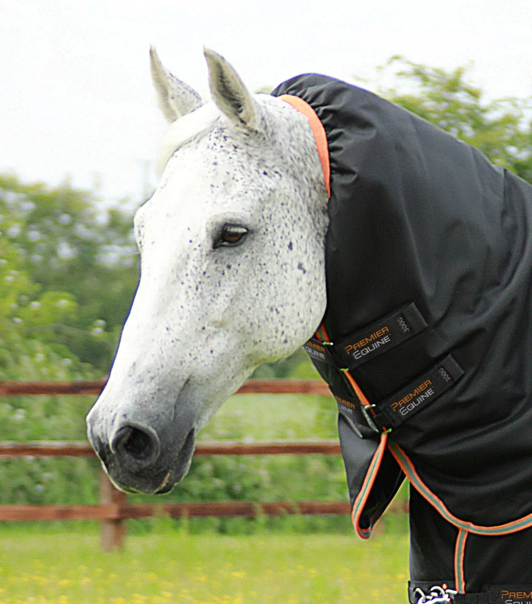 Titan 300g Turnout Rug with Snug-Fit Neck Cover | PEI - Active Equine