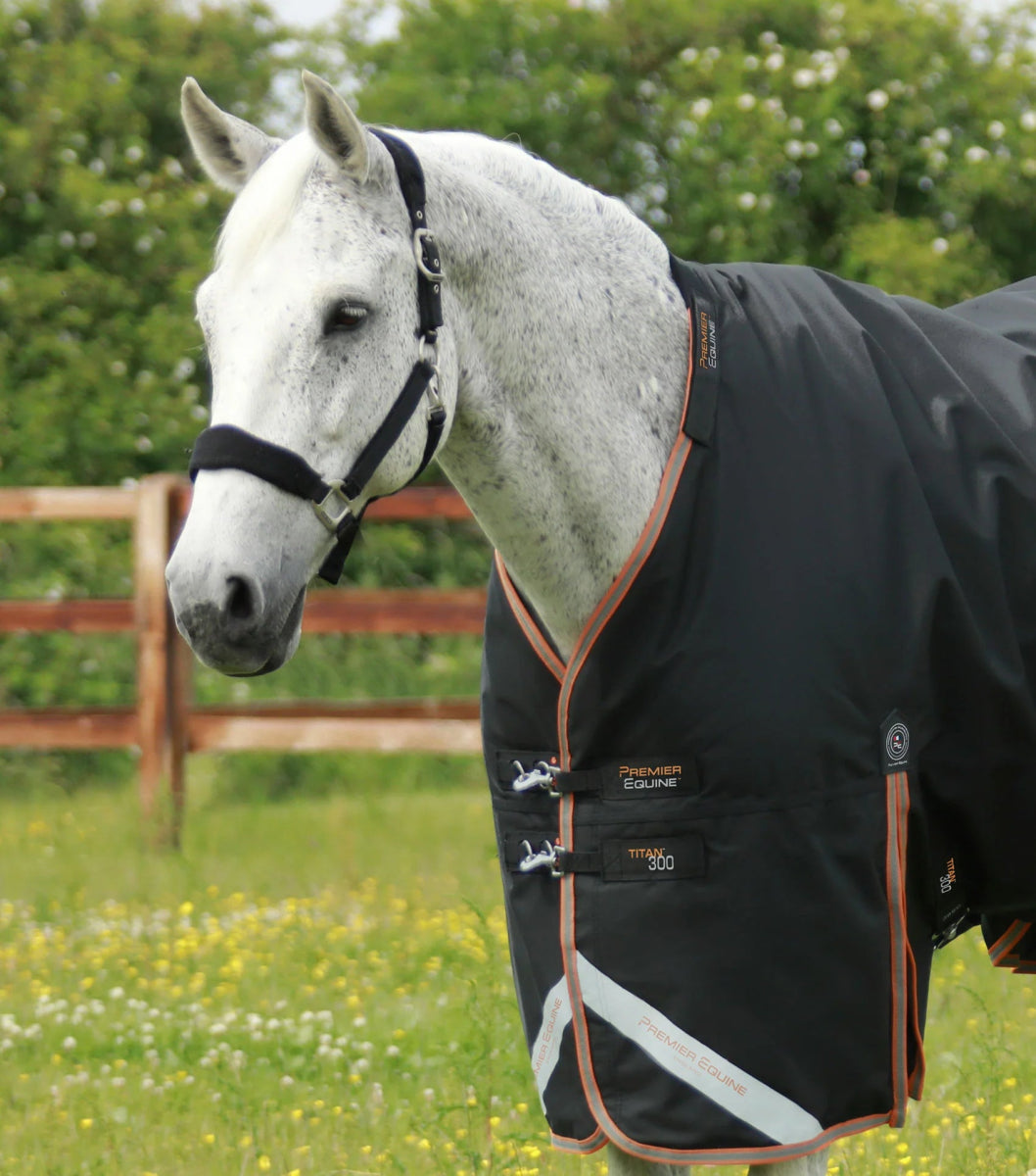 Titan 300g Turnout Rug with Snug-Fit Neck Cover | PEI - Active Equine