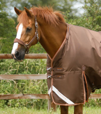 Titan 300g Turnout Rug with Snug-Fit Neck Cover | PEI - Active Equine