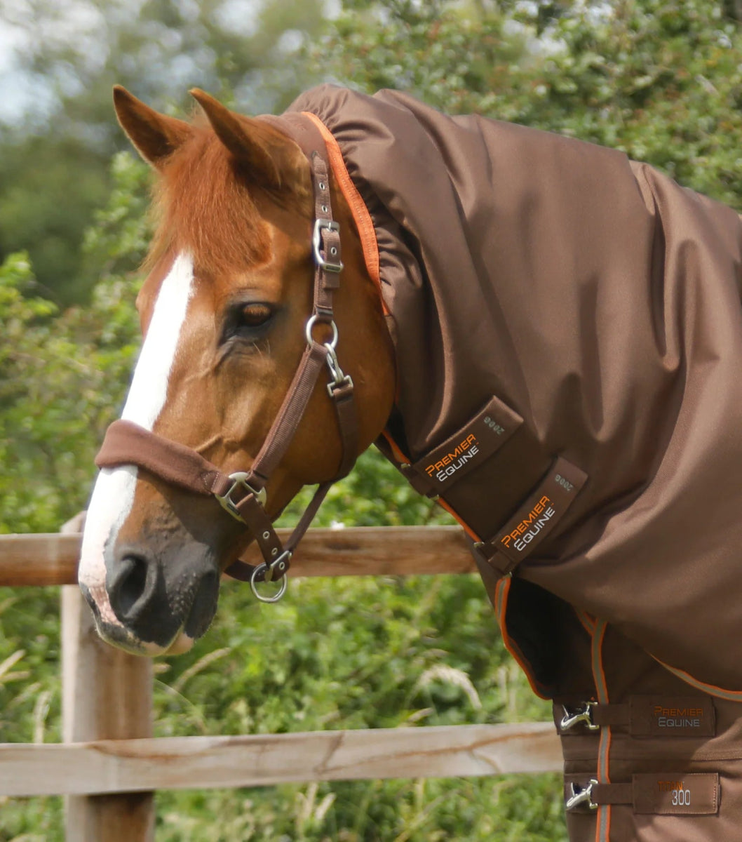 Titan 300g Turnout Rug with Snug-Fit Neck Cover | PEI - Active Equine