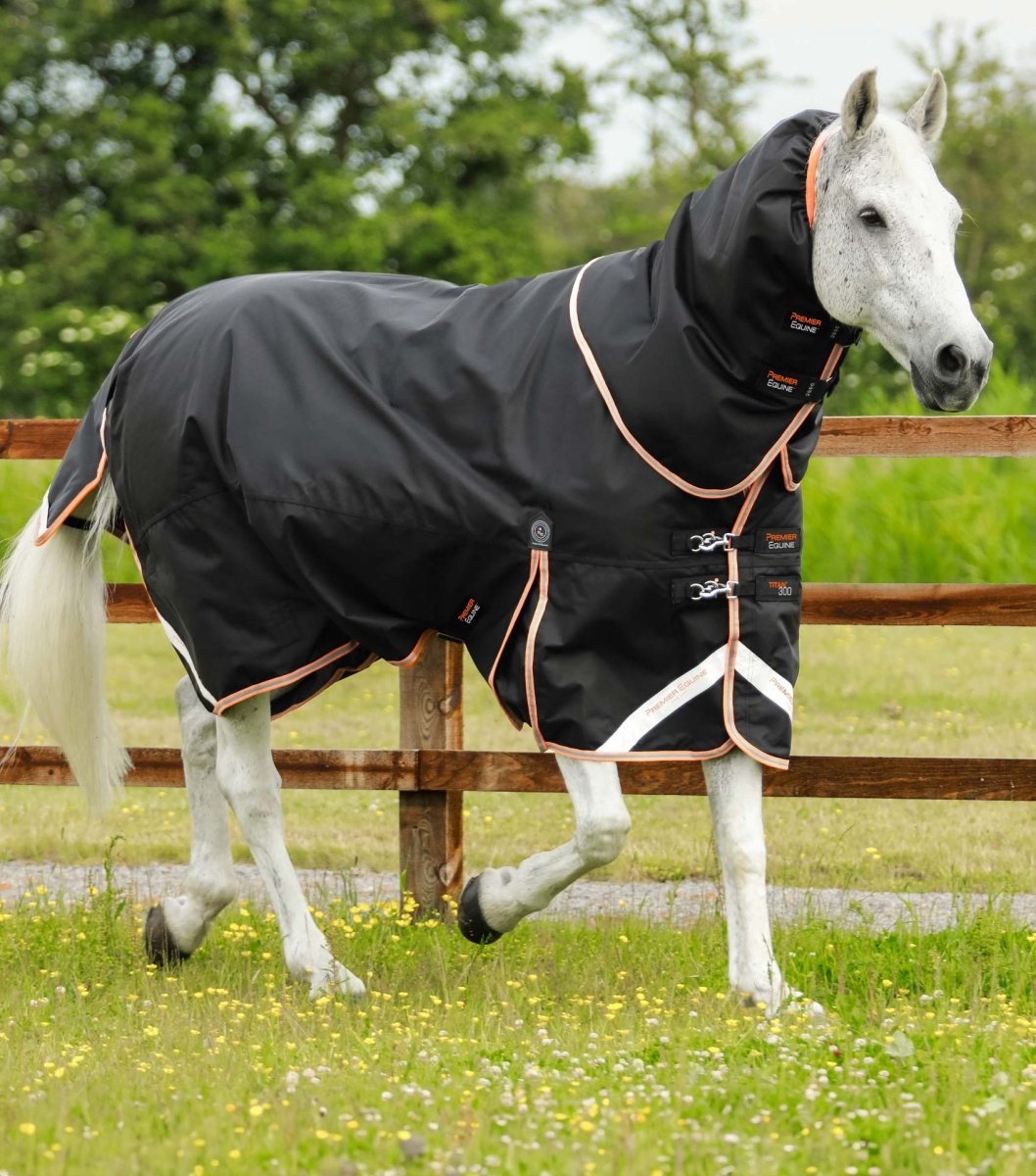 Titan 300g Turnout Rug with Snug-Fit Neck Cover | PEI - Active Equine