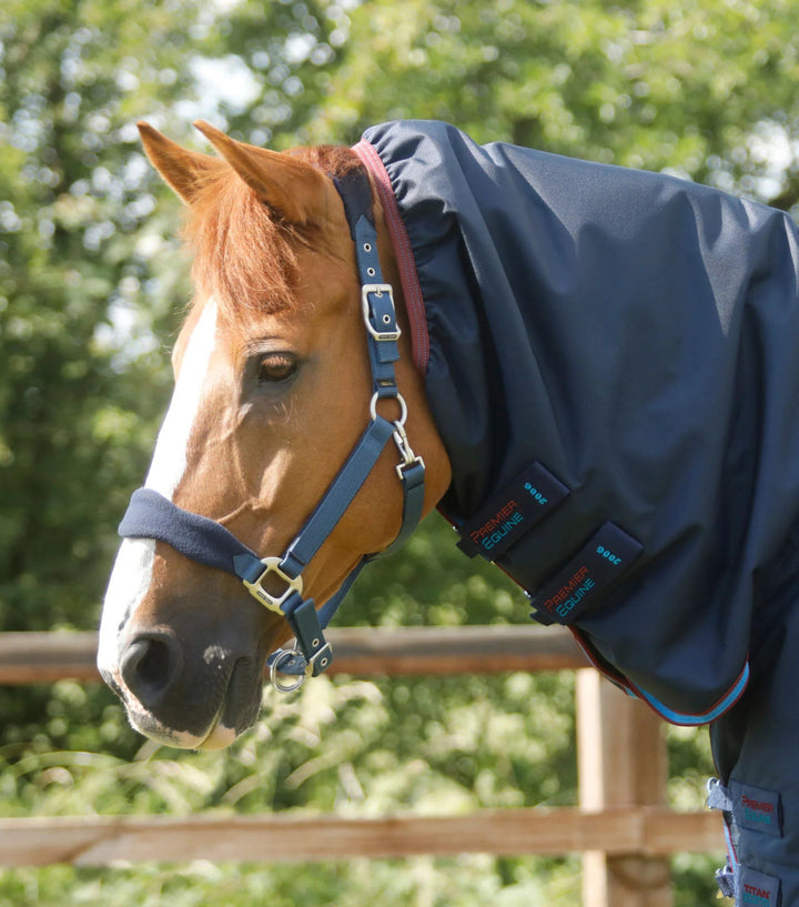 Titan Storm 200g Combo Turnout Rug with Snug-Fit Neck | PEI - Active Equine