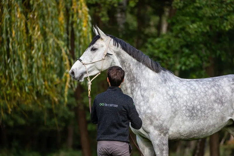 Training Halter | La Cense by Dyon - Active Equine