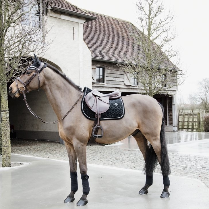 Velvet Fly Veil Basic | Kentucky Horsewear - Active Equine
