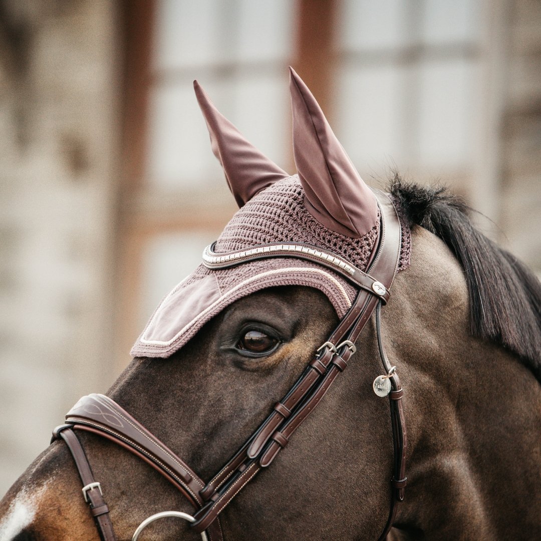 Fly Veil for Horses | Kentucky Horsewear | Active Equine