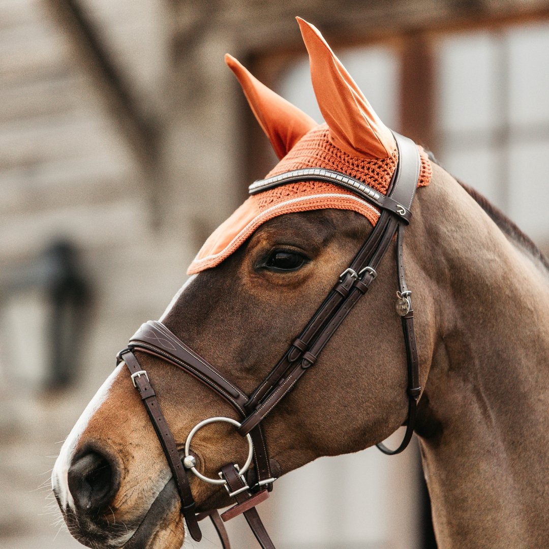 Fly Veil for Horses | Kentucky Horsewear | Active Equine