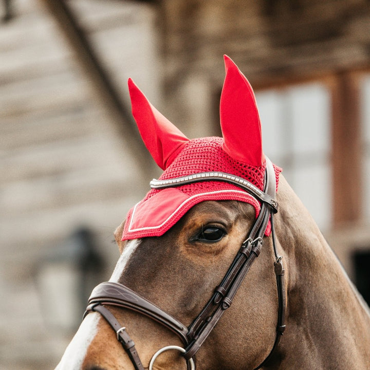 Fly Veil for Horses | Kentucky Horsewear | Active Equine