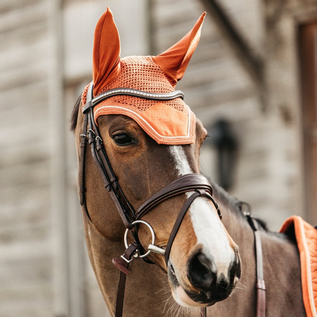 Fly Veil for Horses | Kentucky Horsewear | Active Equine