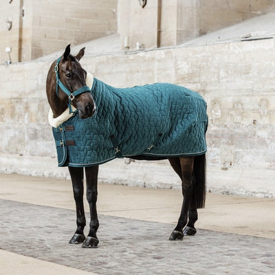 Show Rug Horse | Velvet Outer | Kentucky - Active Equine