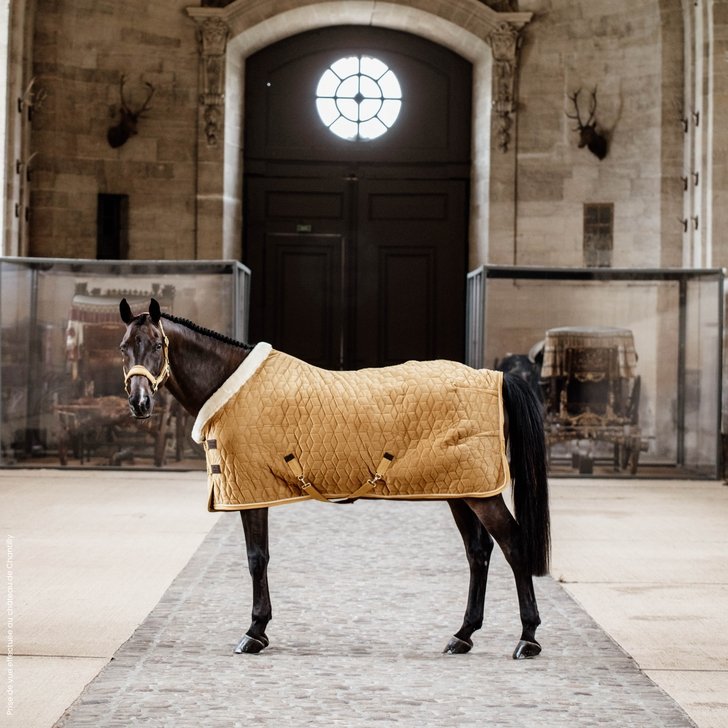 Velvet Show Rug | Kentucky Horsewear - Active Equine